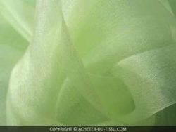 img_3213-1.jpg ORGANZA "CRISTAL" VERT