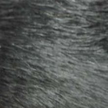 Fausse fourrure, fausse fourrure animaux, fourrure synthétique, fourrure synth. - Acheter du Tissu, acheter du tissu pas cher, acheter tissu, acheter du tissus, tissu pas cher, tissus pas cher, destockage tissus, destockage tissus pas cher, destockage de tissus pas cher, achat tissu, vente de tissus, vente de tissus en ligne, site de vente de tissus, vente de tissus au mètre, tissus au mètre, tissu au mètre original, tissu original, tissus originaux, coupon tissu gratuit, échantillon tissu gratuit, tissus au mètre pour vêtements, vente de tissus en ligne France, vente de tissus en ligne Paris, vente de tissus Paris, vente de tissus France, tissus au meilleur prix, tissus de qualité, promotion tissu, promotions tissus, mercerie, mercerie en ligne Fausse fourrure, fausse fourrure animaux, fourrure synthétique, fourrure synth. - Acheter du Tissu, acheter du tissu pas cher, acheter tissu, acheter du tissus, tissu pas cher, tissus pas cher, destockage tissus, destockage tissus pas cher, destockage de tissus pas cher, achat tissu, vente de tissus, vente de tissus en ligne, site de vente de tissus, vente de tissus au mètre, tissus au mètre, tissu au mètre original, tissu original, tissus originaux, coupon tissu gratuit, échantillon tissu gratuit, tissus au mètre pour vêtements, vente de tissus en ligne France, vente de tissus en ligne Paris, vente de tissus Paris, vente de tissus France, tissus au meilleur prix, tissus de qualité, promotion tissu, promotions tissus, mercerie, mercerie en ligne