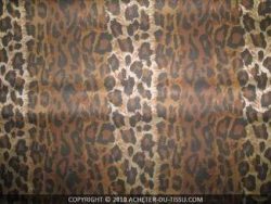 leopard042-1.jpg LEOPARD