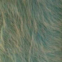 Fausse fourrure, fausse fourrure animaux, fourrure synthétique, fourrure synth. - Acheter du Tissu, acheter du tissu pas cher, acheter tissu, acheter du tissus, tissu pas cher, tissus pas cher, destockage tissus, destockage tissus pas cher, destockage de tissus pas cher, achat tissu, vente de tissus, vente de tissus en ligne, site de vente de tissus, vente de tissus au mètre, tissus au mètre, tissu au mètre original, tissu original, tissus originaux, coupon tissu gratuit, échantillon tissu gratuit, tissus au mètre pour vêtements, vente de tissus en ligne France, vente de tissus en ligne Paris, vente de tissus Paris, vente de tissus France, tissus au meilleur prix, tissus de qualité, promotion tissu, promotions tissus, mercerie, mercerie en ligne Fausse fourrure, fausse fourrure animaux, fourrure synthétique, fourrure synth. - Acheter du Tissu, acheter du tissu pas cher, acheter tissu, acheter du tissus, tissu pas cher, tissus pas cher, destockage tissus, destockage tissus pas cher, destockage de tissus pas cher, achat tissu, vente de tissus, vente de tissus en ligne, site de vente de tissus, vente de tissus au mètre, tissus au mètre, tissu au mètre original, tissu original, tissus originaux, coupon tissu gratuit, échantillon tissu gratuit, tissus au mètre pour vêtements, vente de tissus en ligne France, vente de tissus en ligne Paris, vente de tissus Paris, vente de tissus France, tissus au meilleur prix, tissus de qualité, promotion tissu, promotions tissus, mercerie, mercerie en ligne