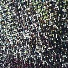 photo13-11-11_35-1.jpg PAILLETTES ARGENT 2