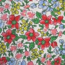 photo26-03-2011_206-1.jpg COTON IMPRIME 10