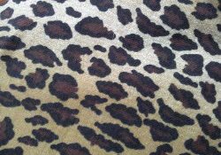 Lainage style chanel, tissu style chanel, tissu lainage style chanel, tissu chanel, tissus fantaisie, tissu fantaisie, tissus chanel, tissus lainage style chanel, tissus pied de coq - Acheter du Tissu, acheter du tissu pas cher, acheter tissu, acheter du tissus, tissu pas cher, tissus pas cher, destockage tissus, destockage tissus pas cher, destockage de tissus pas cher, achat tissu, vente de tissus, vente de tissus en ligne, site de vente de tissus, vente de tissus au mètre, tissus au mètre, tissu au mètre original, tissu original, tissus originaux, coupon tissu gratuit, échantillon tissu gratuit, tissus au mètre pour vêtements, vente de tissus en ligne France, vente de tissus en ligne Paris, vente de tissus Paris, vente de tissus France, tissus au meilleur prix, tissus de qualité, promotion tissu, promotions tissus, mercerie, mercerie en ligne Lainage style chanel, tissu style chanel, tissu lainage style chanel, tissu chanel, tissus fantaisie, tissu fantaisie, tissus chanel, tissus lainage style chanel, tissus pied de coq - Acheter du Tissu, acheter du tissu pas cher, acheter tissu, acheter du tissus, tissu pas cher, tissus pas cher, destockage tissus, destockage tissus pas cher, destockage de tissus pas cher, achat tissu, vente de tissus, vente de tissus en ligne, site de vente de tissus, vente de tissus au mètre, tissus au mètre, tissu au mètre original, tissu original, tissus originaux, coupon tissu gratuit, échantillon tissu gratuit, tissus au mètre pour vêtements, vente de tissus en ligne France, vente de tissus en ligne Paris, vente de tissus Paris, vente de tissus France, tissus au meilleur prix, tissus de qualité, promotion tissu, promotions tissus, mercerie, mercerie en ligne