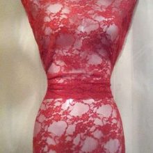 photo28-06-12_94-1.jpg DENTELLE LYCRA ROUGE