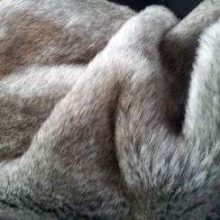 Fausse fourrure, fausse fourrure animaux, fourrure synthétique, fourrure synth. - Acheter du Tissu, acheter du tissu pas cher, acheter tissu, acheter du tissus, tissu pas cher, tissus pas cher, destockage tissus, destockage tissus pas cher, destockage de tissus pas cher, achat tissu, vente de tissus, vente de tissus en ligne, site de vente de tissus, vente de tissus au mètre, tissus au mètre, tissu au mètre original, tissu original, tissus originaux, coupon tissu gratuit, échantillon tissu gratuit, tissus au mètre pour vêtements, vente de tissus en ligne France, vente de tissus en ligne Paris, vente de tissus Paris, vente de tissus France, tissus au meilleur prix, tissus de qualité, promotion tissu, promotions tissus, mercerie, mercerie en ligne Fausse fourrure, fausse fourrure animaux, fourrure synthétique, fourrure synth. - Acheter du Tissu, acheter du tissu pas cher, acheter tissu, acheter du tissus, tissu pas cher, tissus pas cher, destockage tissus, destockage tissus pas cher, destockage de tissus pas cher, achat tissu, vente de tissus, vente de tissus en ligne, site de vente de tissus, vente de tissus au mètre, tissus au mètre, tissu au mètre original, tissu original, tissus originaux, coupon tissu gratuit, échantillon tissu gratuit, tissus au mètre pour vêtements, vente de tissus en ligne France, vente de tissus en ligne Paris, vente de tissus Paris, vente de tissus France, tissus au meilleur prix, tissus de qualité, promotion tissu, promotions tissus, mercerie, mercerie en ligne