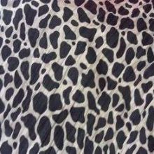 photo30-10-11_36-1.jpg DEGUISEMENT 12