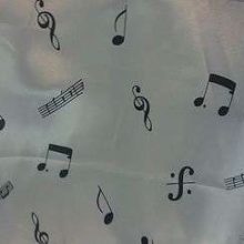 photo31-05-11_19-1.jpg DEGUISEMENT 09