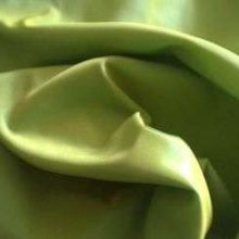 photo8-05-11_02-1.jpg TAFFETAS GRAND LARGEUR VERT ANIS