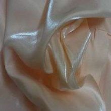 photo8-05-11_16-1.jpg ORGANZA IRISE SAUMON