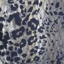 photo8-05-11bis_34-1.jpg DENTELLE LYCRA FLOQUE 07