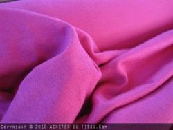photomars009-1.jpg JERSEY ROSE