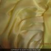 satinjau-1.jpg SATIN DEGRADE JAUNE