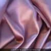 satlyrose-1.jpg SATIN LYCRA ROSE 2