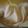 soiebeige-c247-1.jpg SATIN DE SOIE BEIGE