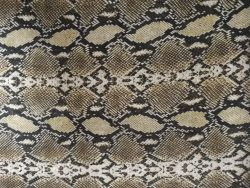 Tissu voile coton imprimé, tissu coton, tissu coton imprimé, coton imprimé, voile coton imprimé - Acheter du Tissu, acheter du tissu pas cher, acheter tissu, acheter du tissus, tissu pas cher, tissus pas cher, destockage tissus, destockage tissus pas cher, destockage de tissus pas cher, achat tissu, vente de tissus, vente de tissus en ligne, site de vente de tissus, vente de tissus au mètre, tissus au mètre, tissu au mètre original, tissu original, tissus originaux, coupon tissu gratuit, échantillon tissu gratuit, tissus au mètre pour vêtements, vente de tissus en ligne France, vente de tissus en ligne Paris, vente de tissus Paris, vente de tissus France, tissus au meilleur prix, tissus de qualité, promotion tissu, promotions tissus, mercerie, mercerie en ligne