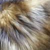 Tissu fausse fourrure, fausse fourrure, tissu fourrure synthétique, fourrure synthétique - Acheter du Tissu, acheter du tissu pas cher, acheter tissu, acheter du tissus, tissu pas cher, tissus pas cher, destockage tissus, destockage tissus pas cher, destockage de tissus pas cher, achat tissu, vente de tissus, vente de tissus en ligne, site de vente de tissus, vente de tissus au mètre, tissus au mètre, tissu au mètre original, tissu original, tissus originaux, coupon tissu gratuit, échantillon tissu gratuit, tissus au mètre pour vêtements, vente de tissus en ligne France, vente de tissus en ligne Paris, vente de tissus Paris, vente de tissus France, tissus au meilleur prix, tissus de qualité, promotion tissu, promotions tissus, mercerie, mercerie en ligne Tissu fausse fourrure, fausse fourrure, tissu fourrure synthétique, fourrure synthétique - Acheter du Tissu, acheter du tissu pas cher, acheter tissu, acheter du tissus, tissu pas cher, tissus pas cher, destockage tissus, destockage tissus pas cher, destockage de tissus pas cher, achat tissu, vente de tissus, vente de tissus en ligne, site de vente de tissus, vente de tissus au mètre, tissus au mètre, tissu au mètre original, tissu original, tissus originaux, coupon tissu gratuit, échantillon tissu gratuit, tissus au mètre pour vêtements, vente de tissus en ligne France, vente de tissus en ligne Paris, vente de tissus Paris, vente de tissus France, tissus au meilleur prix, tissus de qualité, promotion tissu, promotions tissus, mercerie, mercerie en ligne