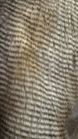 Tissu fausse fourrure, fausse fourrure, tissu fourrure synthétique, fourrure synthétique - Acheter du Tissu, acheter du tissu pas cher, acheter tissu, acheter du tissus, tissu pas cher, tissus pas cher, destockage tissus, destockage tissus pas cher, destockage de tissus pas cher, achat tissu, vente de tissus, vente de tissus en ligne, site de vente de tissus, vente de tissus au mètre, tissus au mètre, tissu au mètre original, tissu original, tissus originaux, coupon tissu gratuit, échantillon tissu gratuit, tissus au mètre pour vêtements, vente de tissus en ligne France, vente de tissus en ligne Paris, vente de tissus Paris, vente de tissus France, tissus au meilleur prix, tissus de qualité, promotion tissu, promotions tissus, mercerie, mercerie en ligne