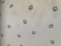 TISSU PIQUÉ DE COTON 6