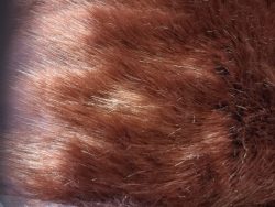 TISSU FAUSSE FOURRURE 9