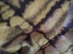 TISSU FAUSSE FOURRURE 6