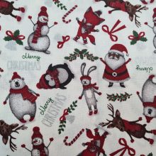 20201109_131736 TISSU NOEL 01