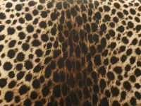 Fourrure de léopard avec motifs tachetés marron et noirs.