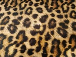 tissu-ameublement-acheter-du-tissu2 Motif peau de léopard tacheté